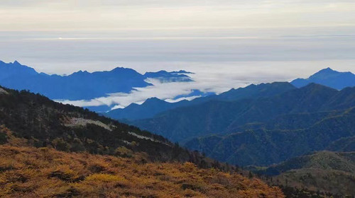 【西安一周一山·朱雀国家森林公园】登秦岭之巅·观石海云天