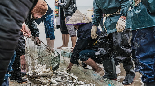 【浪漫广西·北海追鲸5日】银滩+侨港美食街+赶海+疍家晚餐+海边烧烤+旅拍+北海涠洲岛追鲸轻奢5日游