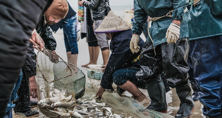 【浪漫广西·北海追鲸5日】银滩+侨港美食街+赶海+疍家晚餐+海边烧烤+旅拍+北海涠洲岛追鲸轻奢5日游