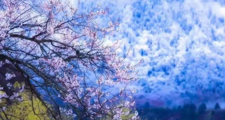【雪域西藏·桃花节8日】拉萨+布达拉宫+林芝+米拉山隧道+嘎啦桃花村+鲁朗林海+玻璃桃花沟+来古冰川+然乌湖+岗云杉林+雅鲁藏布江+索松村+巴松措+深度纯玩8日