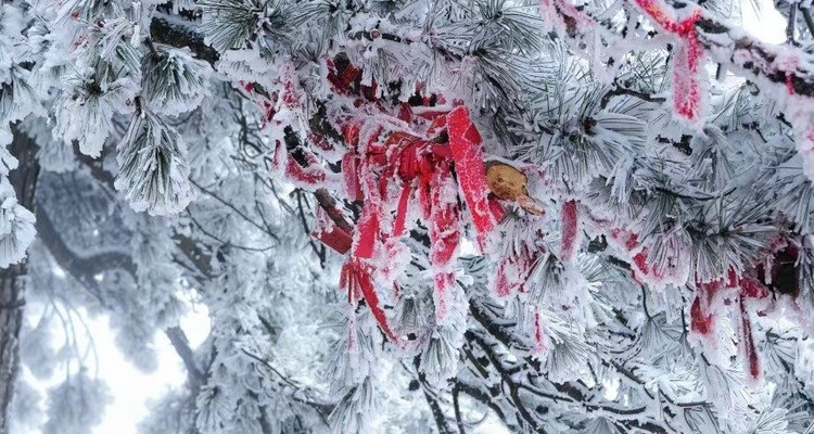 【西安一周一山·南五台】登高南五台+赏雪景观云海