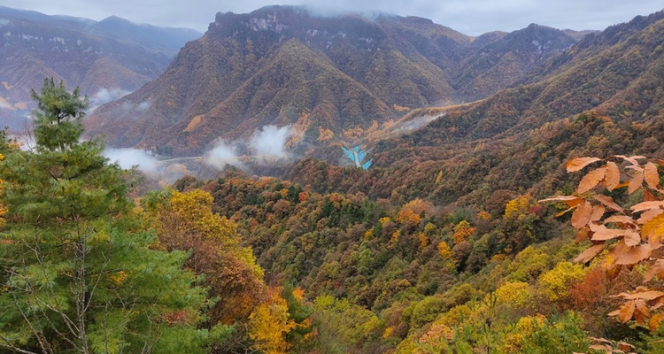 【地道鄂西·人文巴楚7日】宜昌+神农坛+神农顶+坪阡古镇+大九湖+三峡之光+巫山 +三峡之巅+白帝城+奉节+秘境溶洞轻徒步+恩施大峡谷+宣恩+屏山峡谷+2-8人VIP小团+鄂西全景7日