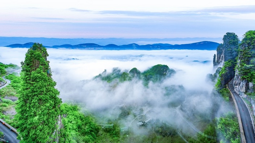 【地道巴楚 · 巅峰之旅7日】宜昌+穿越神农架+神农坛+神农谷+大九湖晨曦+天燕景区+天生桥+地心谷+恩施大峡谷+屏山峡谷+女儿城+鹿院坪玄鹿地缝+户外纯玩7日