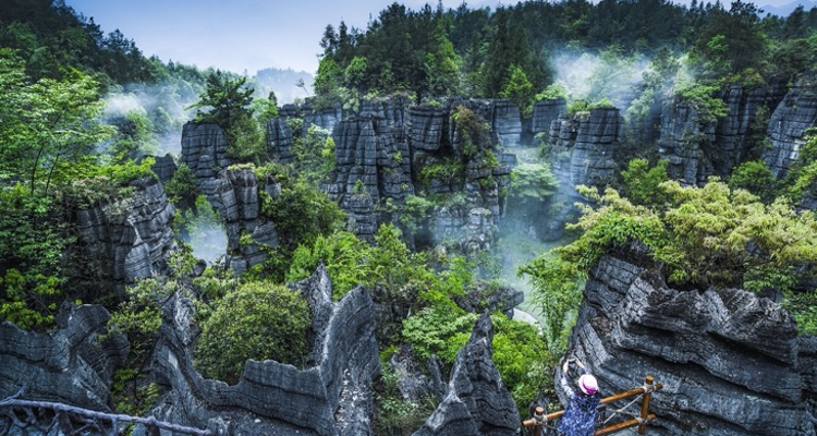 【地道巴楚 · 巅峰之旅7日】宜昌+穿越神农架+神农坛+神农谷+大九湖晨曦+天燕景区+天生桥+地心谷+恩施大峡谷+屏山峡谷+女儿城+鹿院坪玄鹿地缝+户外纯玩7日