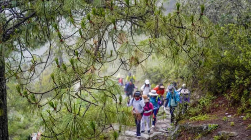 【行走云南·徒步虎跳峡2日】 丽江+虎跳峡+高路徒步+28道拐+茶马客栈+本地湾+龙洞瀑布+中虎跳峡+勇者梯，深度体验“世界十大徒步路线”。