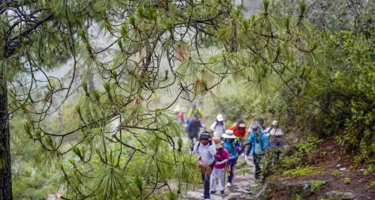 【行走云南·徒步虎跳峡2日】 丽江+虎跳峡+高路徒步+28道拐+茶马客栈+本地湾+龙洞瀑布+中虎跳峡+勇者梯，深度体验“世界十大徒步路线”。