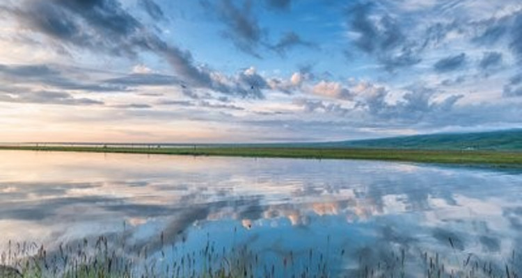【遇见西北 · 青海湖4日】西宁+青海湖骑行+茶卡盐湖日落+青海湖断崖+大冬树山垭口+冰沟林海+卓尔山日落+阿柔大寺+祁连山草原+门源+2-8人小包团