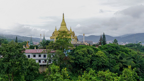 【又见云南 · 象往版纳5日】野象谷+勐泐大佛寺+中科院植物园+雨林徒步探秘+曼远傣族村寨+曼听公园+般若寺+湄公河星光夜市+5天精品8人小团
