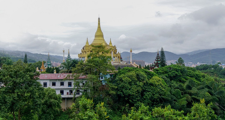 【又见云南 · 象往版纳5日】野象谷+勐泐大佛寺+中科院植物园+雨林徒步探秘+曼远傣族村寨+曼听公园+般若寺+湄公河星光夜市+5天精品8人小团
