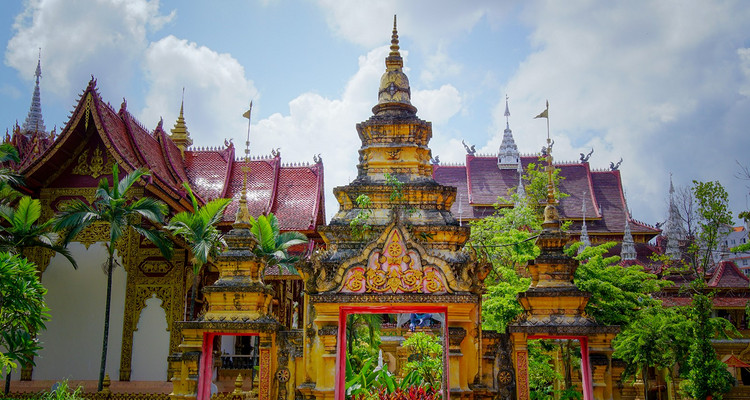 【又见云南 · 象往版纳5日】野象谷+勐泐大佛寺+中科院植物园+雨林徒步探秘+曼远傣族村寨+曼听公园+般若寺+湄公河星光夜市+5天精品8人小团