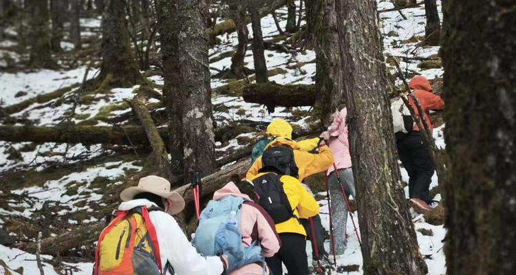 【行走云南·虎跳峡高路+玉龙雪山2日】