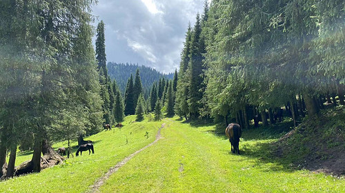 2026【行走北疆·喀拉峻小环线4日/5日】伊宁+特克斯八卦城+喀拉峻+塔里木河+赛里木湖+4日/5日徒步之旅