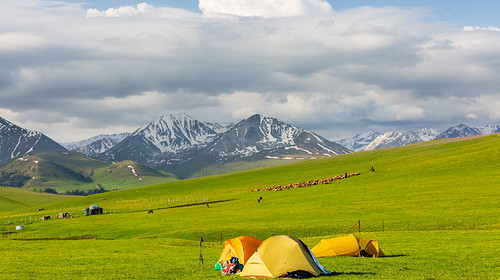 2026【行走北疆·喀拉峻小环线4日/5日】伊宁+特克斯八卦城+喀拉峻+塔里木河+赛里木湖+4日/5日徒步之旅