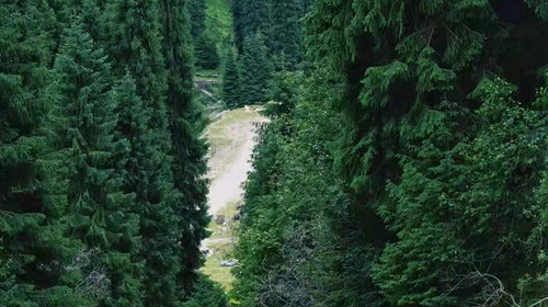 2026【行走北疆·喀拉峻小环线4日/5日】伊宁+特克斯八卦城+喀拉峻+塔里木河+赛里木湖+4日/5日徒步之旅