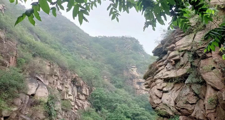 【北京一周一山·藤萝谷】初级丨8公里丨徒步山野秘境+漫步藤蔓山谷