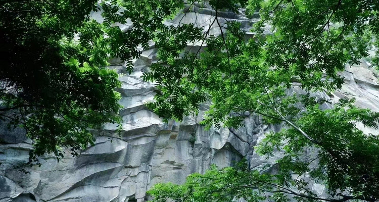 【北京一周一山·藤萝谷】初级丨8公里丨徒步山野秘境+漫步藤蔓山谷