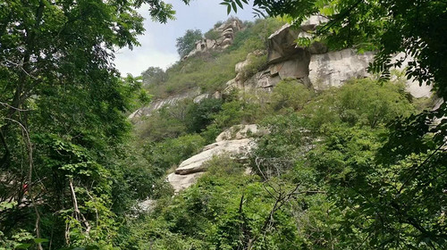 【北京一周一山·藤萝谷】初级丨9公里丨徒步山野秘境+漫步藤蔓山谷
