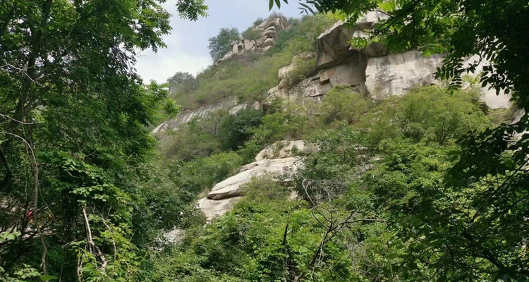 【北京一周一山·藤萝谷】初级丨8公里丨徒步山野秘境+漫步藤蔓山谷