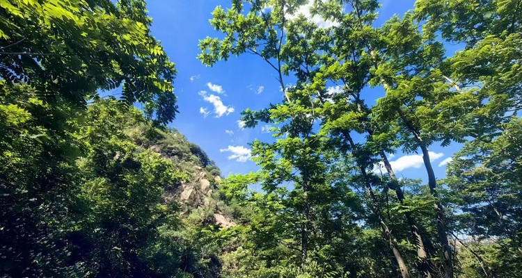【北京一周一山·百泉山谷】休闲丨9公里丨椴树岭漫步+山谷徒步