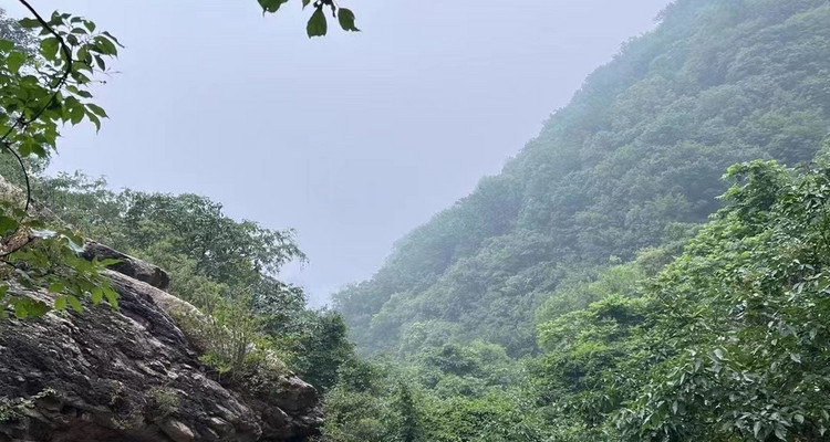 【北京一周一山·藤萝谷】初级丨8公里丨徒步山野秘境+漫步藤蔓山谷