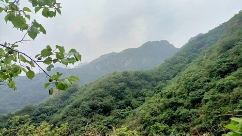 【北京一周一山·藤萝谷】初级丨9公里丨徒步山野秘境+漫步藤蔓山谷