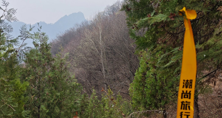 【西安一周一山·观音山·户外休闲 】13公里徒步 | 登高俯瞰·赏云漫群山