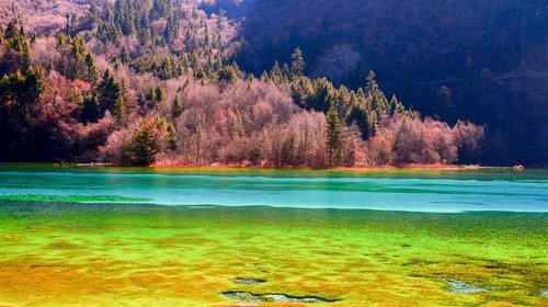 【梦幻甘南·九寨黄龙7日】摄影师跟拍丨九寨沟全天畅玩+黄龙+人间伊甸园扎尕那+拉卜楞寺+桑科草原+郎木寺+纳摩大峡谷轻徒步+若尔盖花湖+九曲黄河第一弯+S301草原景观大道+米拉日巴佛阁+28人精品纯玩团