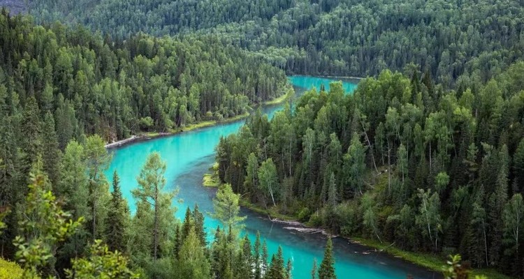 【新疆阿勒泰深度7日】喀纳斯+禾木+白哈巴+3晚景区入住+阿勒泰全景慢游+天山天池+阿禾公路+五彩滩+世界魔鬼城+s21沙漠公路+三湾徒步+2-6人小包团