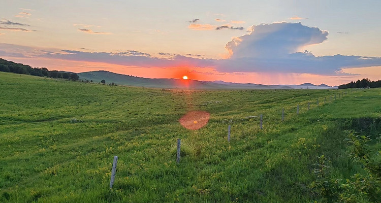 【遇见乌兰布统·草原摄影4日】越野穿越乌兰布统核心区+塞罕坝林海+公主湖+影视基地+甘丹驼城+鄂温克驯鹿园+承德集散+12人精品团+2-12人私家团