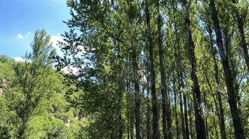 【北京一周一山·莲花滩 】10公里徒步穿越丨童话森林里的漫步+奔向山谷秘境深处一线天+徒步水关长城+感受山野乐趣