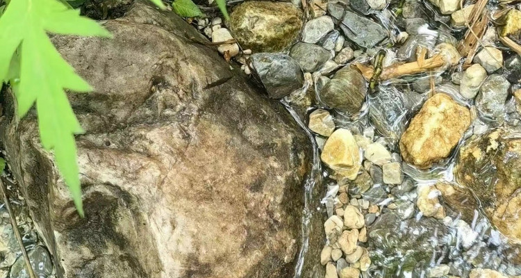 【北京一周一山·濂泉响谷】休闲级丨6公里丨聆听原生态大自然的声音+治愈级山谷徒步