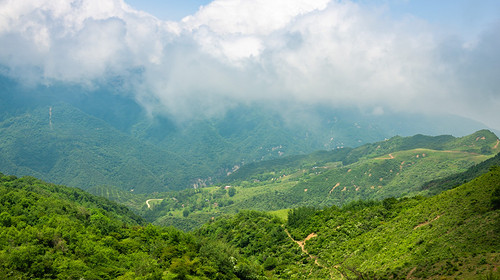 【西安一周一山·流峪草甸】打卡秦岭“阿勒泰”+徒步流峪草甸，看风光无限