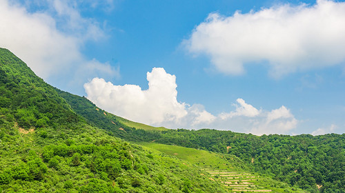 【西安一周一山·流峪草甸】打卡秦岭“阿勒泰”+徒步流峪草甸，看风光无限