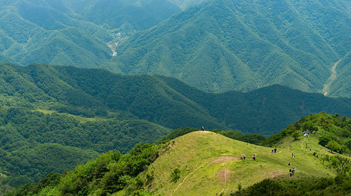 【西安一周一山·流峪草甸】打卡秦岭“阿勒泰”+徒步流峪草甸，看风光无限