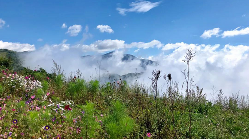 【北京一周一山·海坨山南大梁】10公里初级徒步丨近观大小海坨山+高山草甸+云海缭绕！