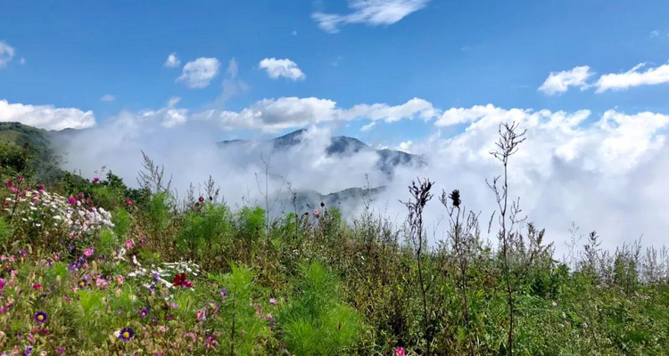 【北京一周一山·海坨山南大梁】10公里初级徒步丨近观大小海坨山+高山草甸+云海缭绕！