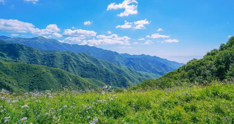 【北京一周一山·海坨山南大梁】10公里初级徒步丨近观大小海坨山+高山草甸+云海缭绕！