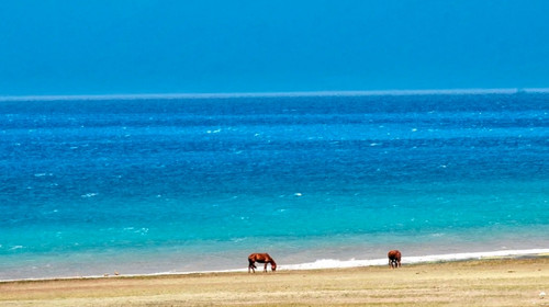 【新疆北疆大环线10日】喀纳斯禾木+那拉提草原+独库公路+赛里木湖+阿禾公路+伊昭公路+琼库什台+夏塔古道+天山天池+唐布拉草原+世界魔鬼城+薰衣草农场+2-6人小包团&6人小团