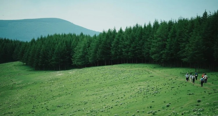 【北京一周一山·麻田岭】9公里初级徒步丨绝美空中草原+高山草甸+云海风车