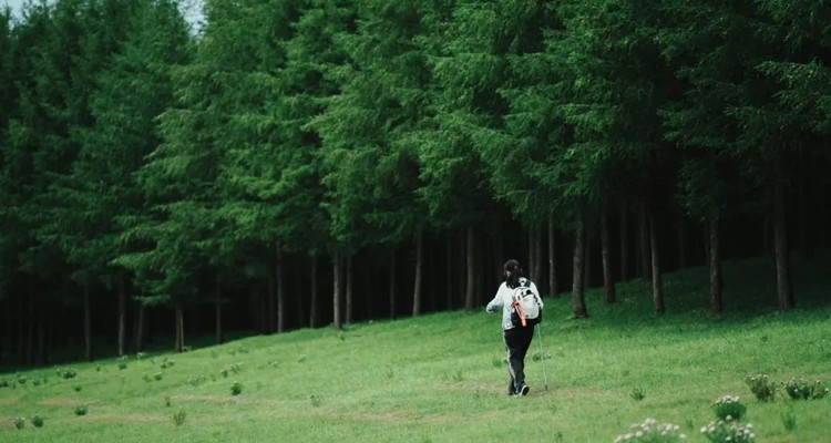 【北京一周一山·麻田岭】9公里初级徒步丨绝美空中草原+高山草甸+云海风车