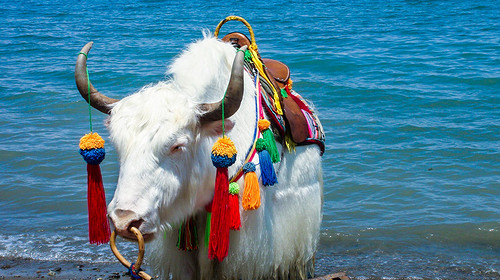 【遇见西北 · 河西四郡7日】乌鞘岭+天梯山石窟+雷台汉墓+马蹄寺石窟+大佛寺+张掖七彩丹霞+嘉峪关长城+大地之子+榆林窟+《又见敦煌》沉浸式演出+莫高窟+鸣沙山月牙泉+沙洲夜市+8人小车团&2-8人小包团