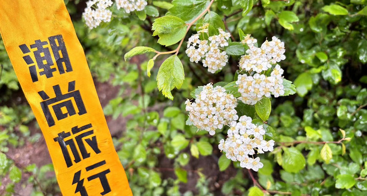 【北京一周一山·黄花梁】10公里初级徒步丨北京最美山脊路线丨高山草甸丨京西“小瑞士”