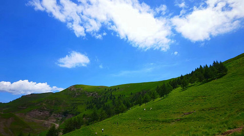 【北京一周一山·黄花梁】10公里初级徒步丨北京最美山脊路线丨高山草甸丨京西“小瑞士”