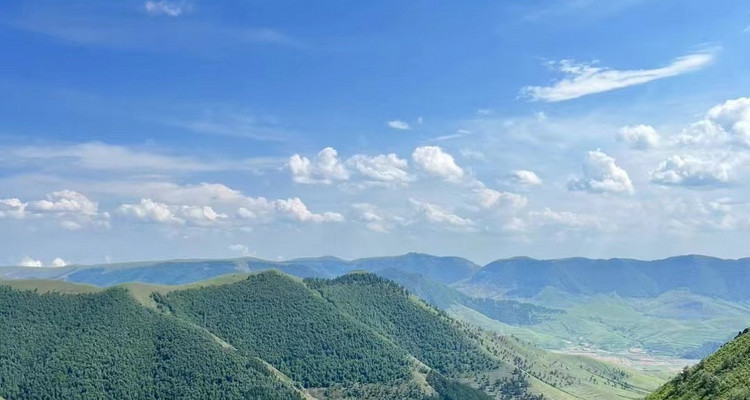 【北京一周一山·黄花梁】10公里初级徒步丨北京最美山脊路线丨高山草甸丨京西“小瑞士”