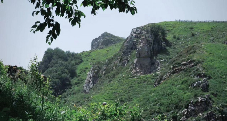 【北京一周一山·黄花梁】10公里初级徒步丨北京最美山脊路线丨高山草甸丨京西“小瑞士”