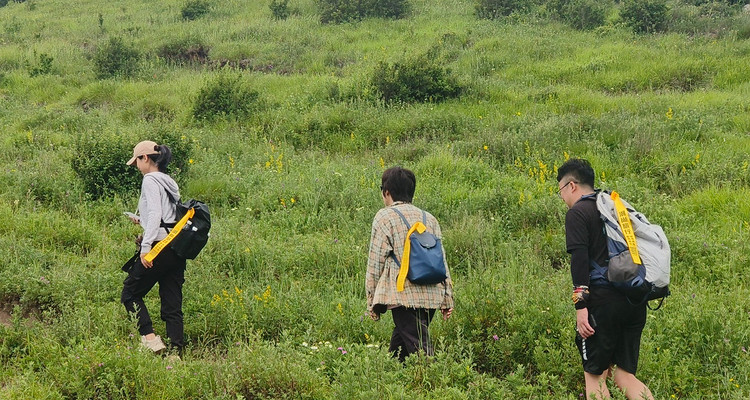 【北京一周一山·黄花梁】10公里初级徒步丨北京最美山脊路线丨高山草甸丨京西“小瑞士”