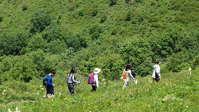 【北京一周一山·黄草梁】早鸟优惠来袭丨京西古道上的高山驿站：黄草梁徒步穿越‌丨高山草甸金辉染，古道长城岁月痕~
