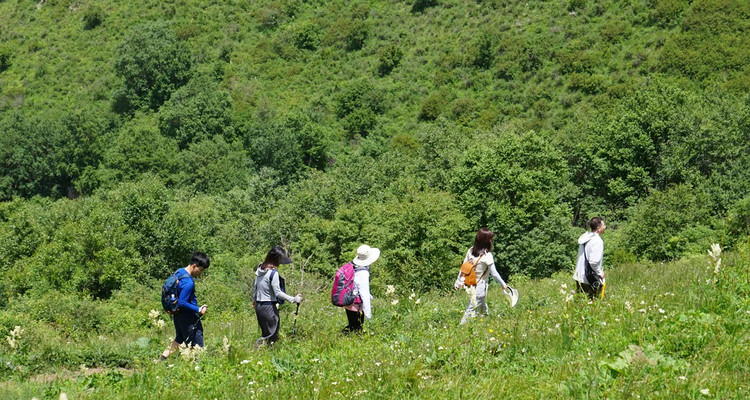 【北京一周一山·黄花梁】10公里初级徒步丨北京最美山脊路线丨高山草甸丨京西“小瑞士”