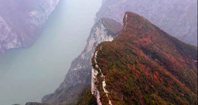 【地道三峡·红叶醉三峡4日】宜昌+文峰观+船游巫山夜景+三峡之巅+白帝城+神女天路+赏长江两岸醉美红叶+16人精品团+2-7人私家团