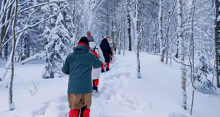 【冰雪梦幻A线7日·2-28人品质大巴团】哈尔滨+延吉+图们+长白山+雪乡+亚雪公路+雪地漂流+冬捕+网红雪圈漂移+雾凇长廊+万科滑雪+梦幻雪山徒步+狂野撒欢！